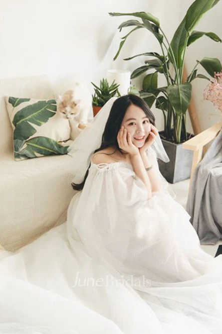 Simple Style Multi-Layer Tulle Mesh Wedding Veil