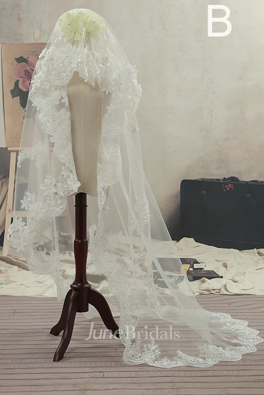 Simple Sweep Tulle Wedding Veil with Lace Edge and Flowers