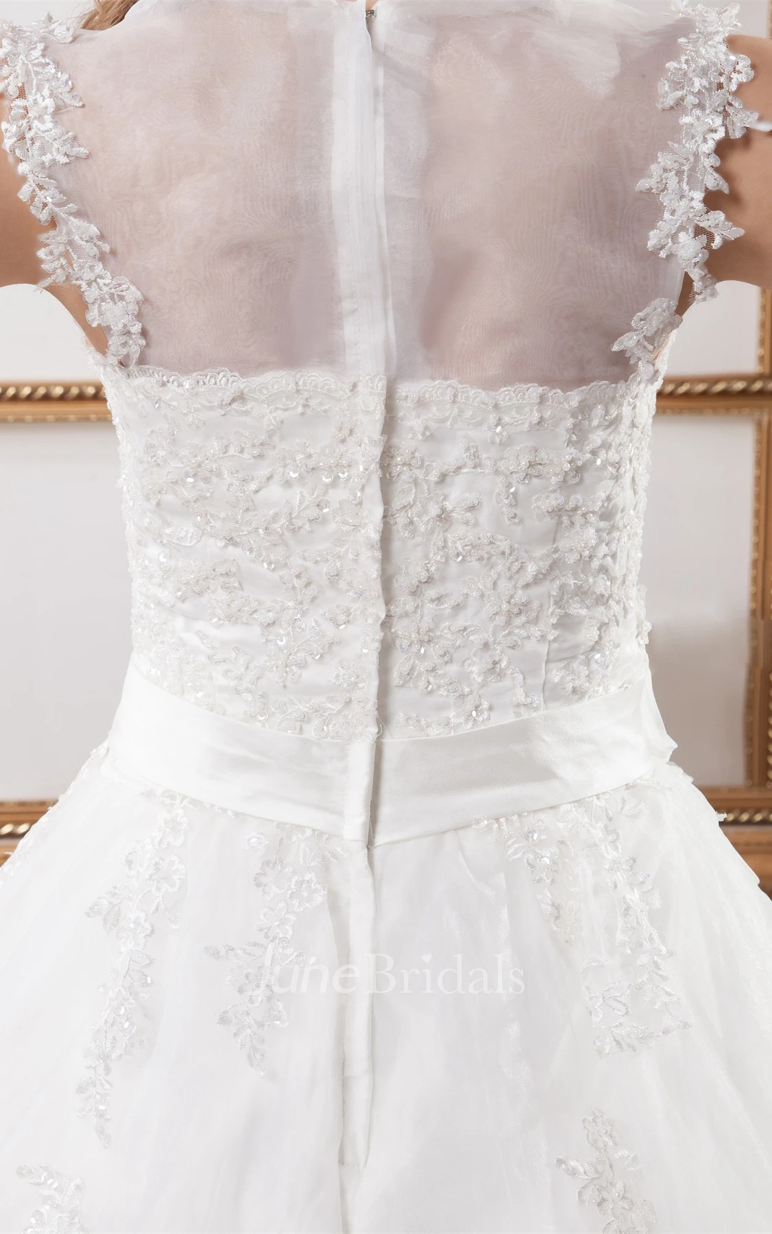 Sleeveless Tulle Ball Gown with Appliques and Illusion Neckline