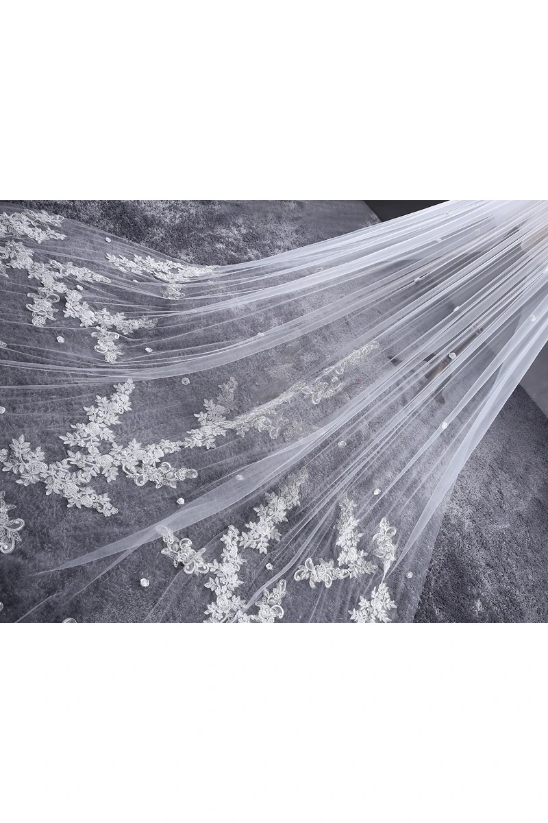 Ethereal Long Tulle Wedding Veil with Lace and Flower Appliques