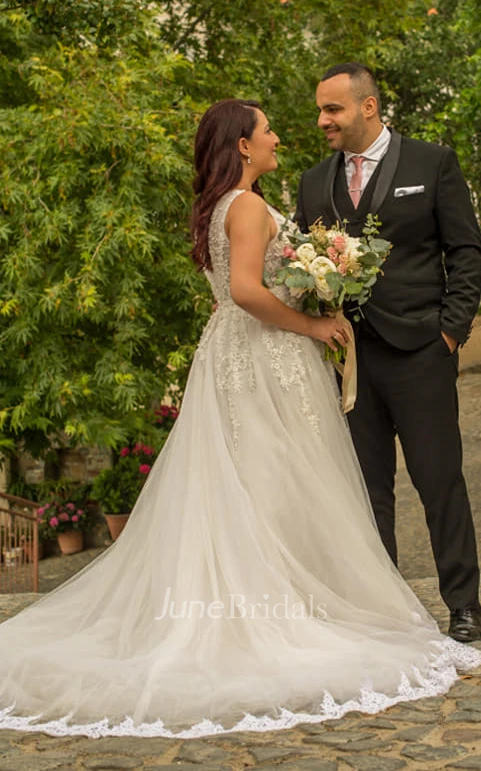 Elegant A Line Ball Gown V-neck Lace Tulle Spring Wedding Dress with Appliques