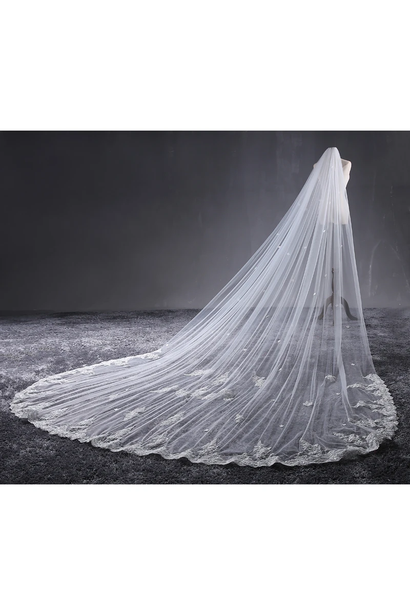 Korean New Style Cathedral Wedding Veil with Lace Edge and Flower Applique