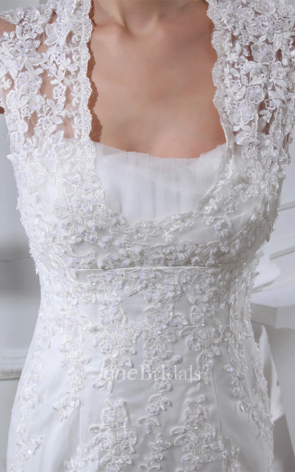 Queen-Anne Mermaid Tulle Dress with Appliques and Court Train