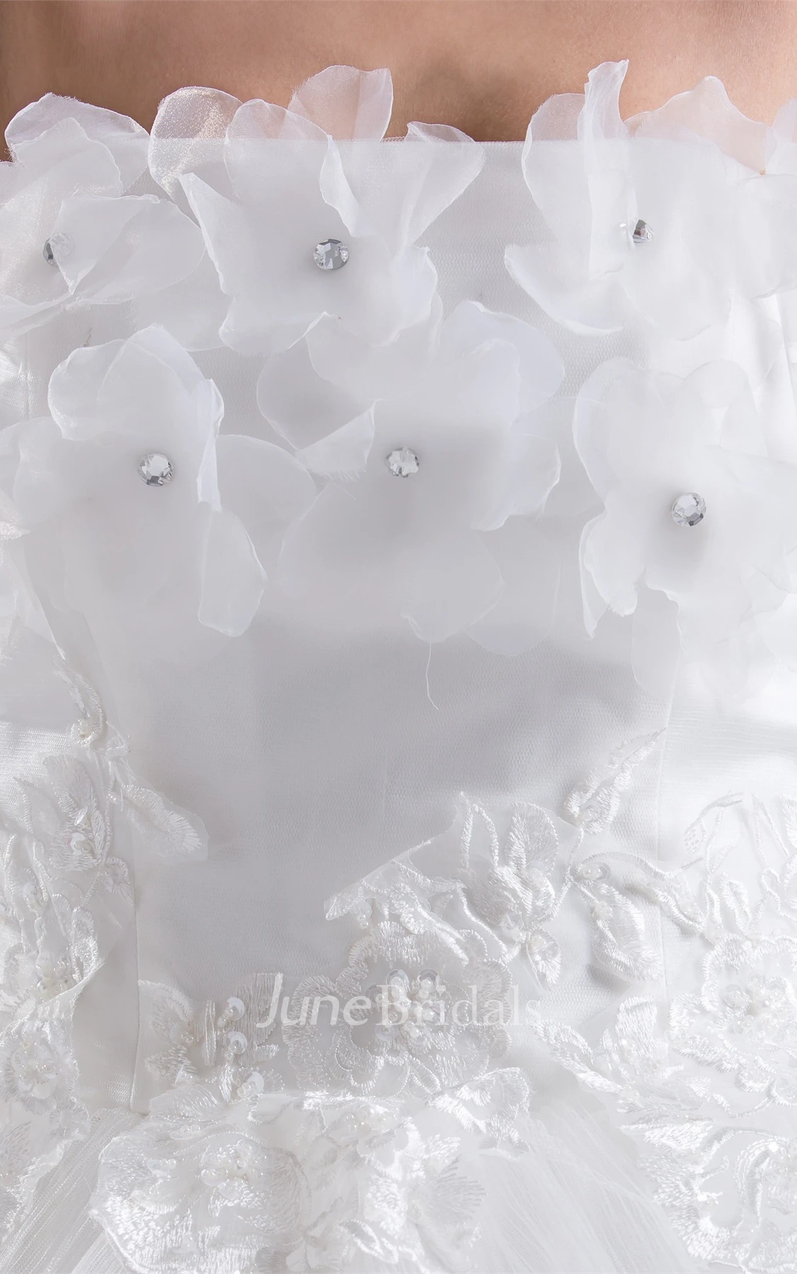 Floral Tulle A-Line Ball Gown with Tiers and Appliques