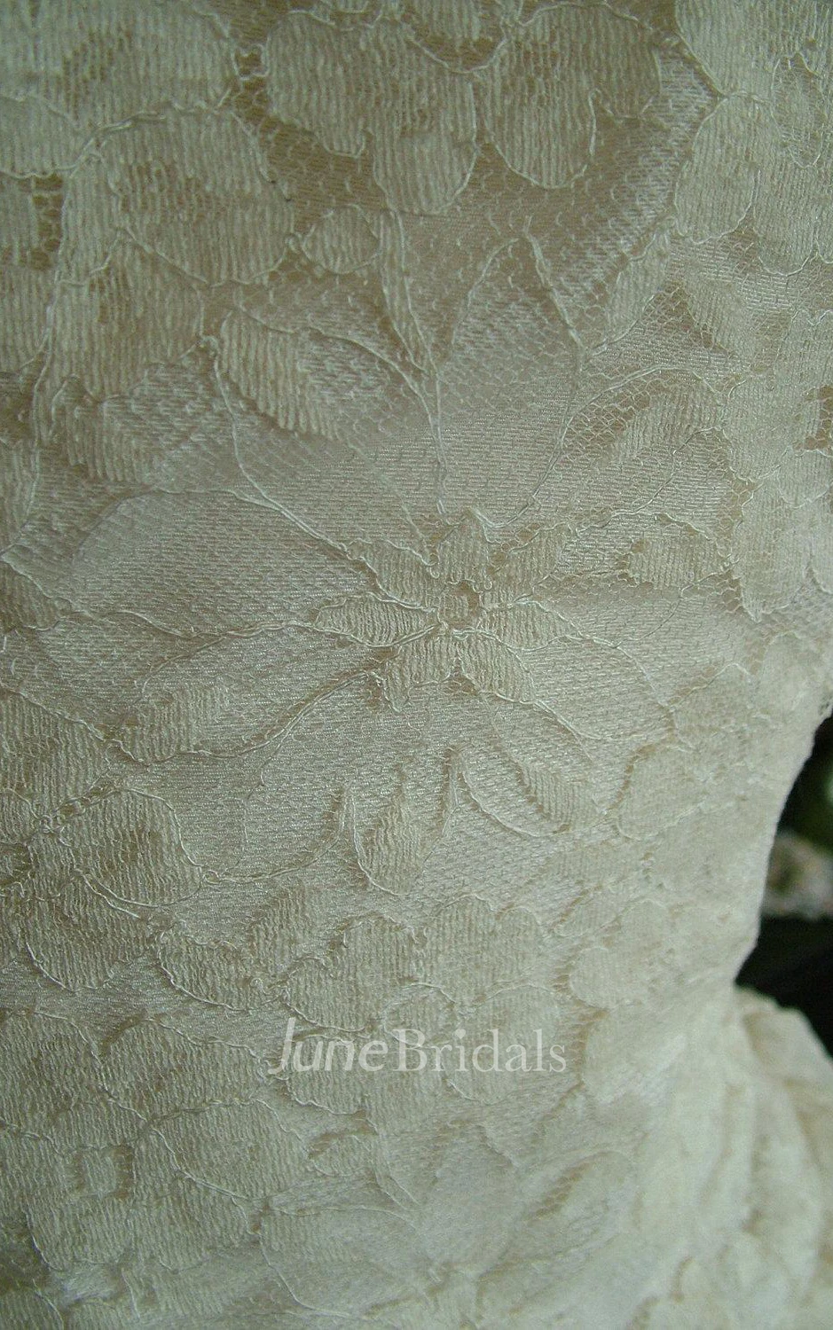 Vintage Off-The-Shoulder Short Sleeve Tulle Dress With Appliques