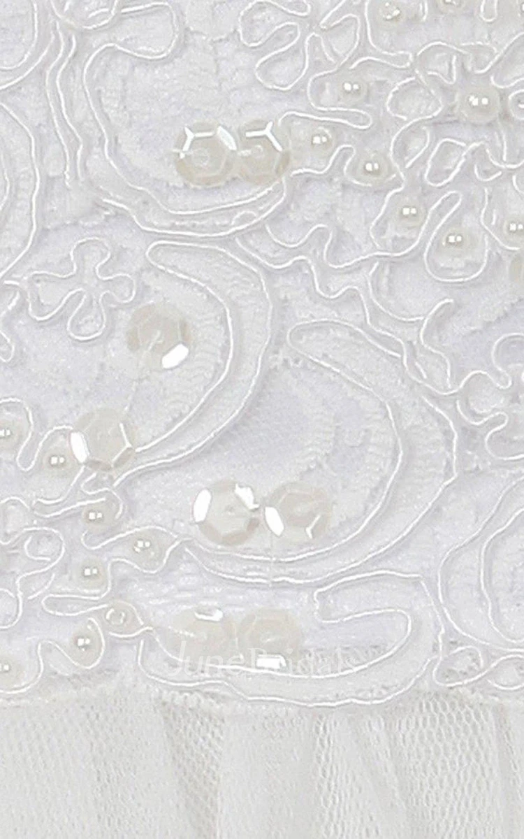 Sleeveless A-line Appliqued Dress With Bow