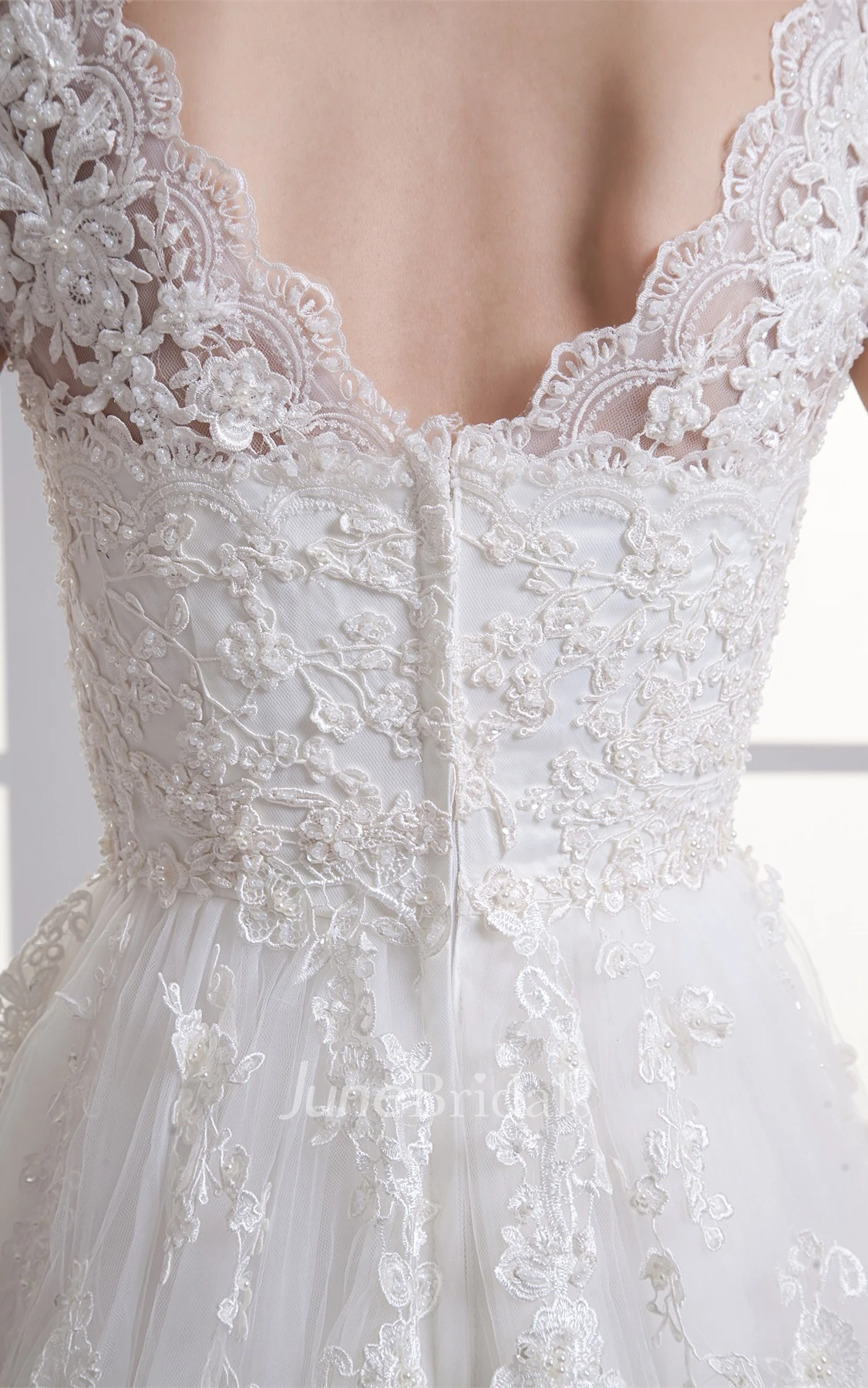 Queen-Anne Lace A-Line Dress with Tulle Overlay