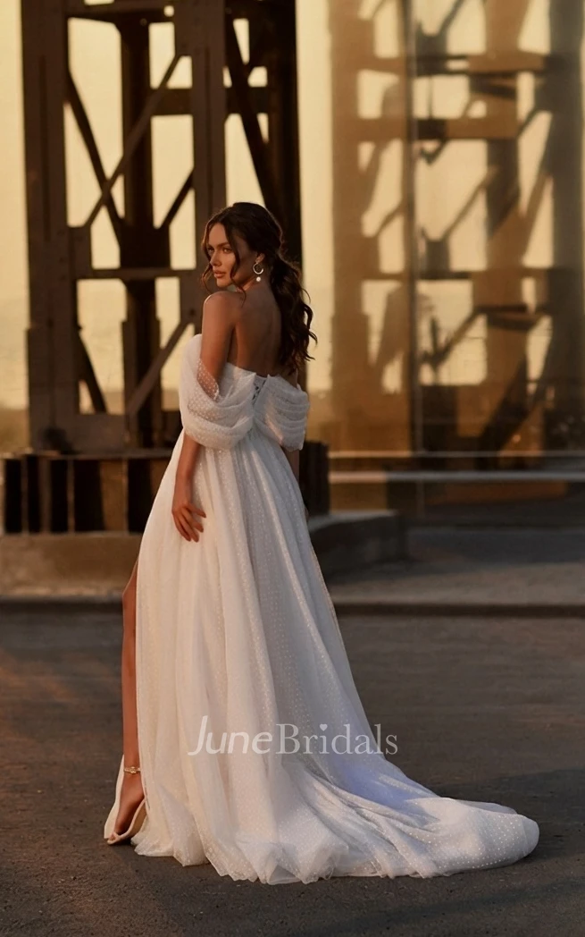 Vintage Romantic Off-the-shoulder A-Line Tulle Warm Wedding Dress Simple Sexy Adorable Lace-up Back Floor-length Split Front Bridal Gown with Train