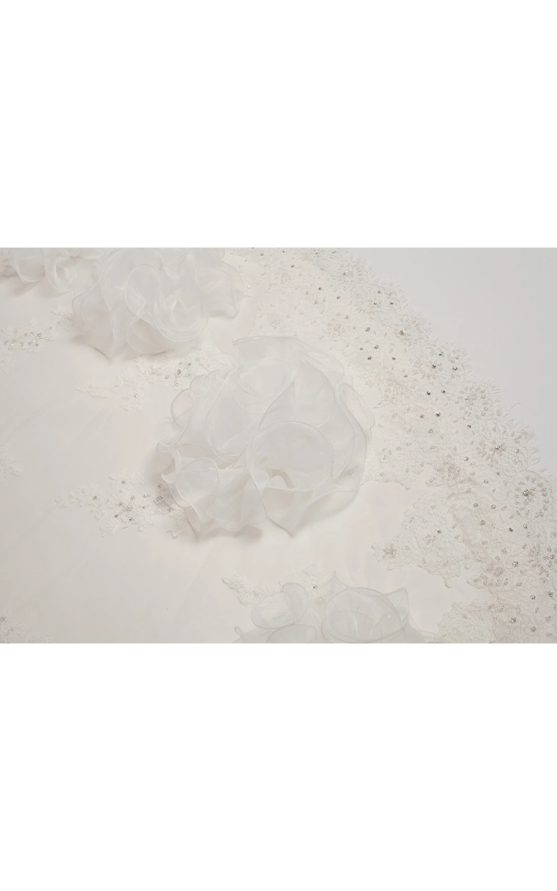 Floral Sleeveless Appliqued Ball Gown with Beading and Illusion