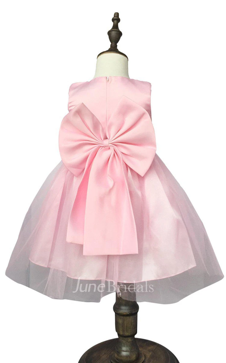 Sleeveless A-line Pleated Dress With Flower and Bow