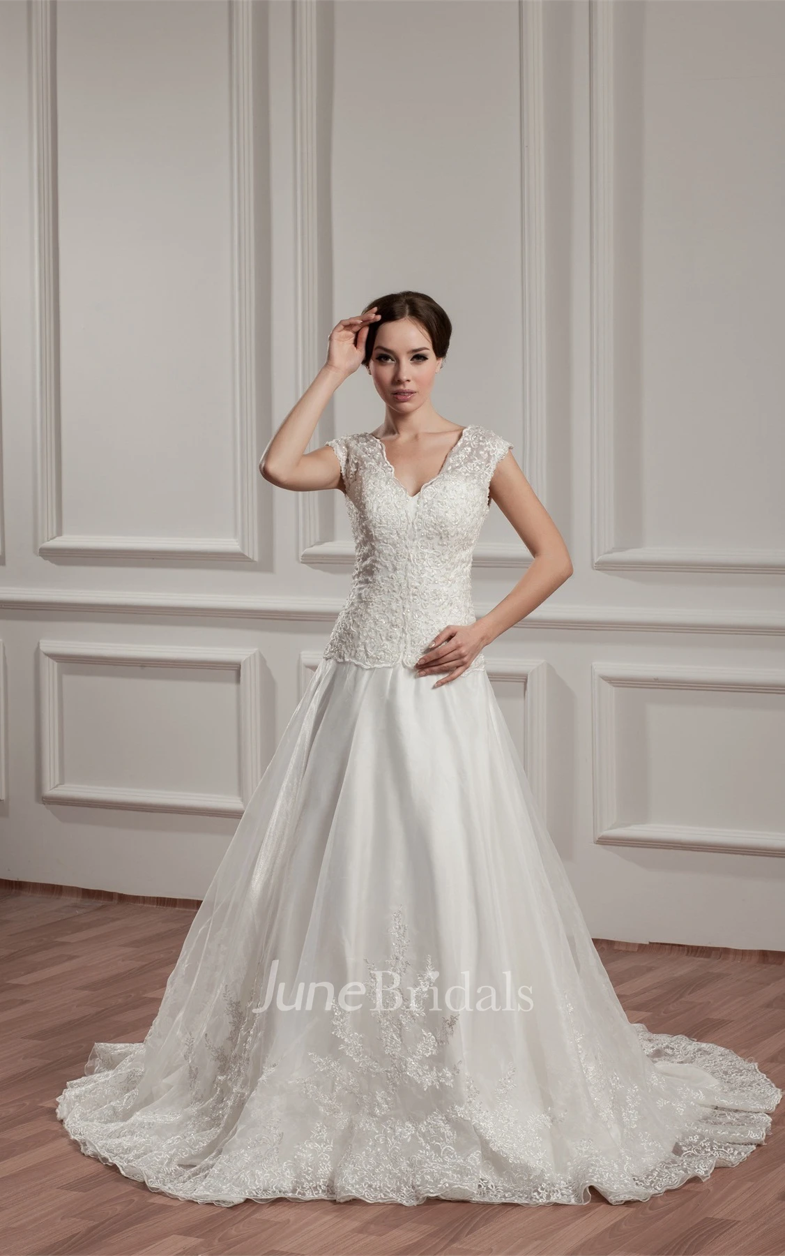 Caped-Sleeve Plunged A-Line Dress with Appliques and Pleats