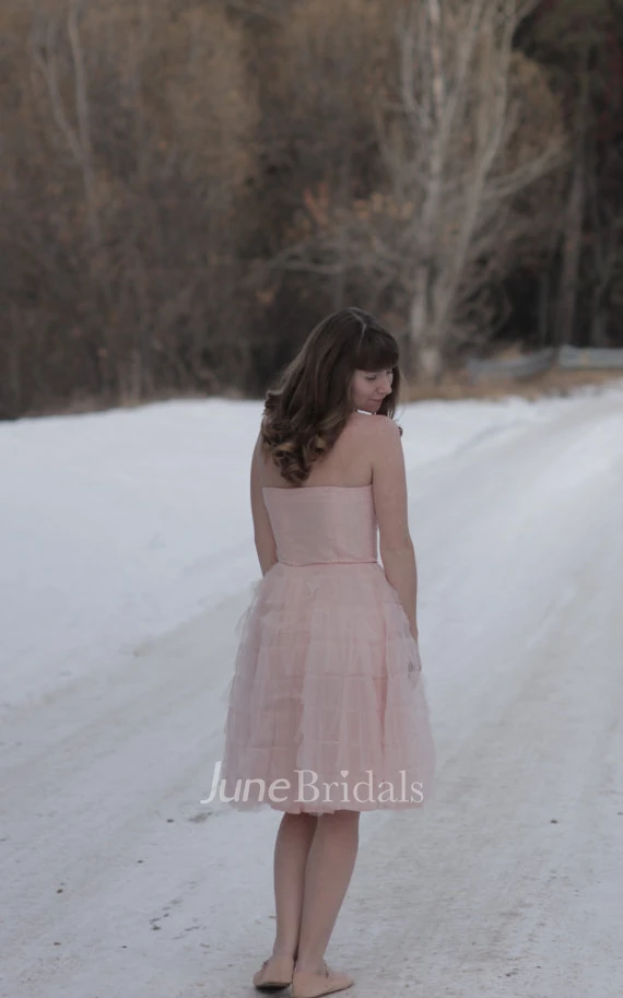 Simple Strapless Knee-length Tulle Dress
