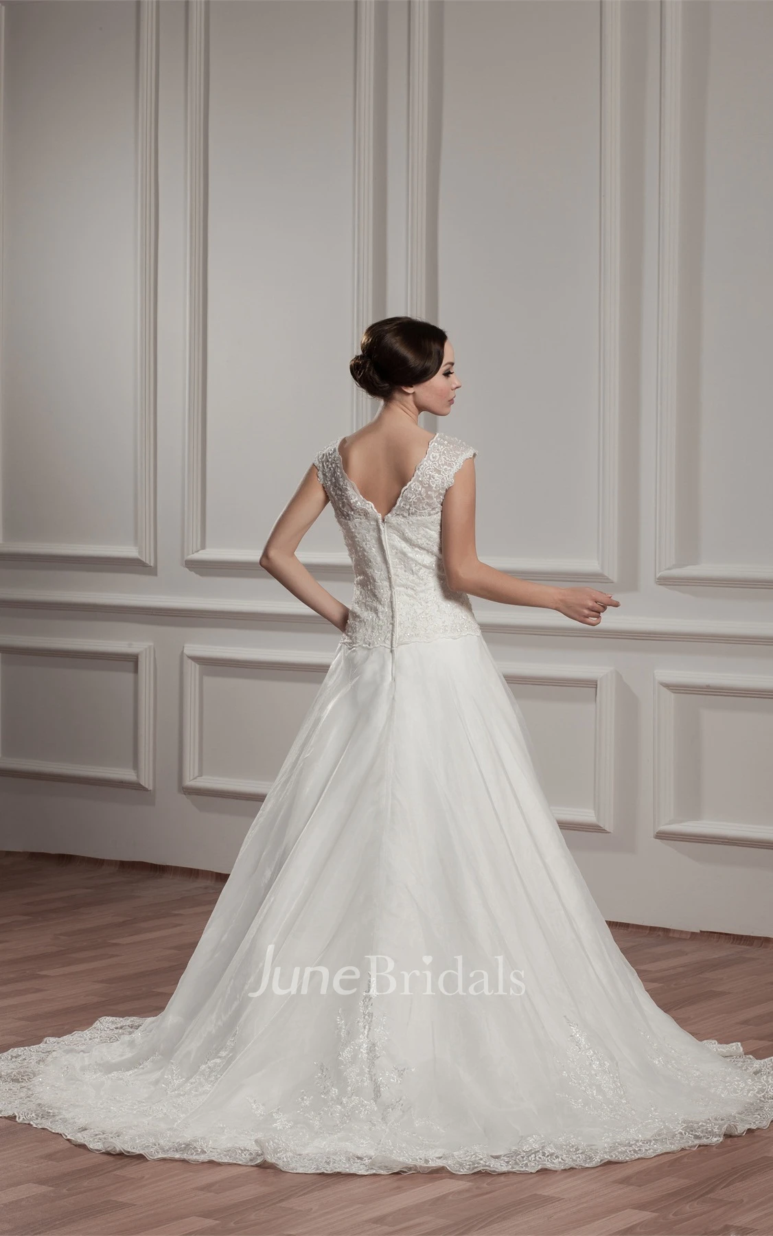 Caped-Sleeve Plunged A-Line Dress with Appliques and Pleats