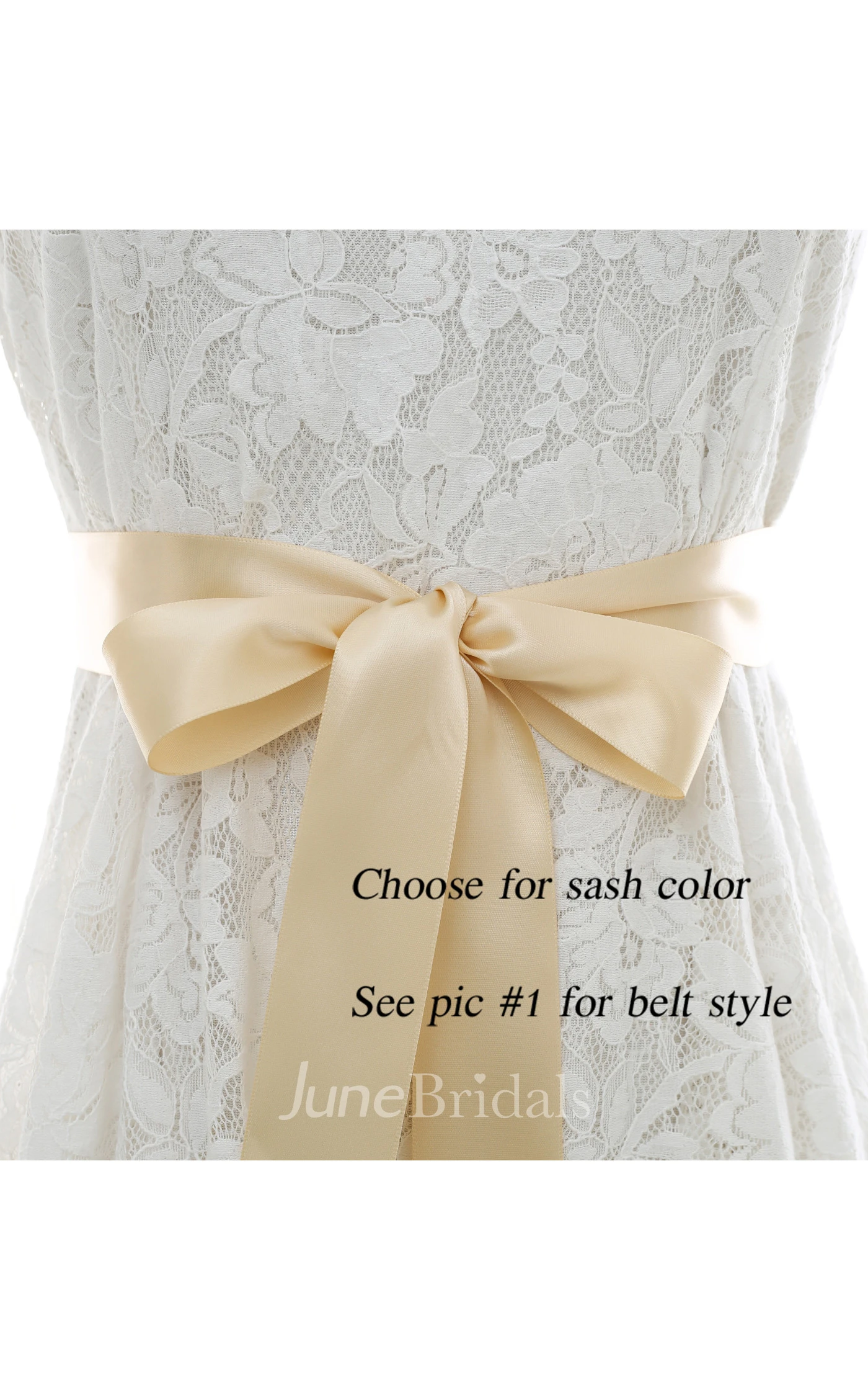 Bridal Crystal Appliqued Belt