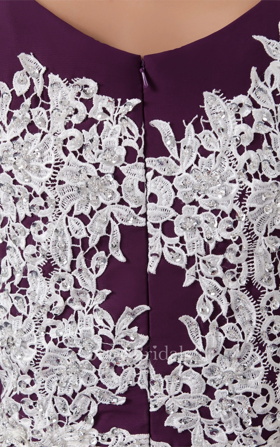 Caped-Sleeve Chiffon Long Dress with Appliqued Back Design