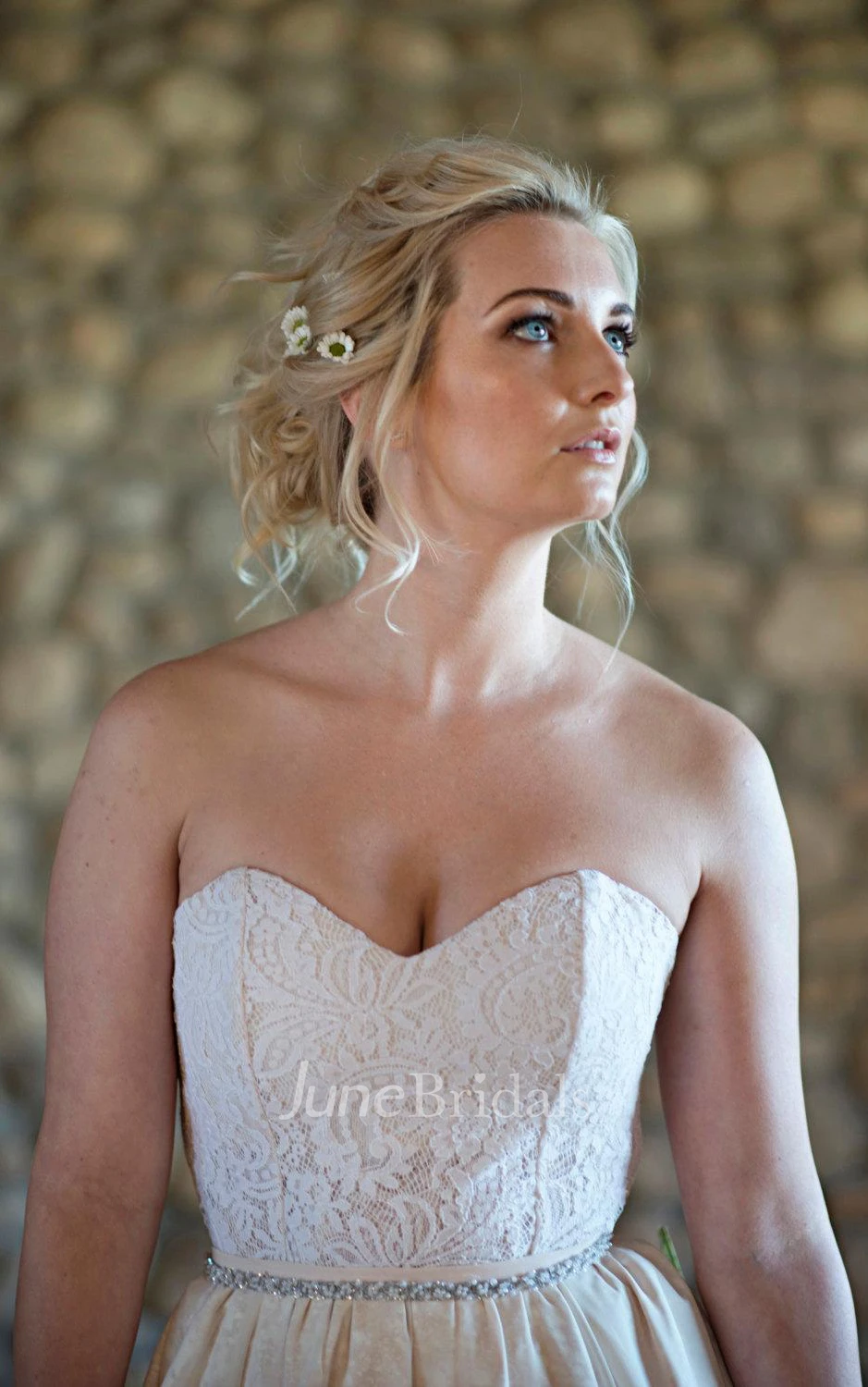 Ball Gown Chiffon Lace Weddig Dress With Illusion