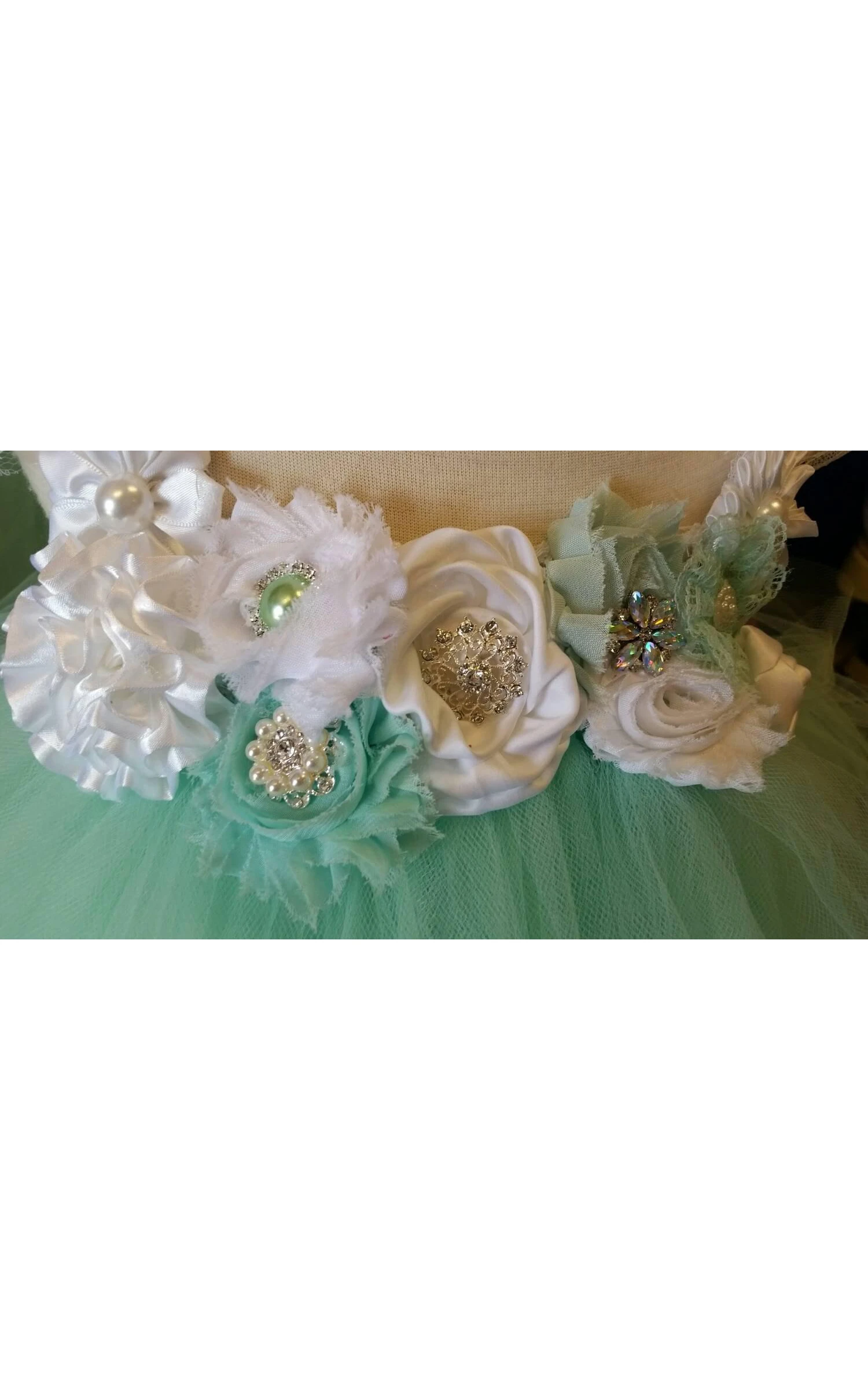 Beautiful Mint Sleeveless Empire Tulle Tutu Dress With Vintage Flowers