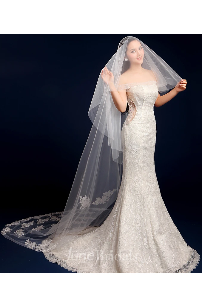 Tulle Cathedral Wedding Veil with Lace Edge and Appliques