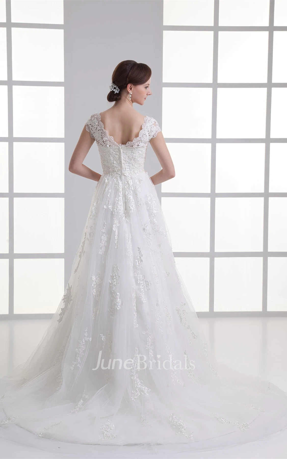 Queen-Anne Lace A-Line Dress with Tulle Overlay