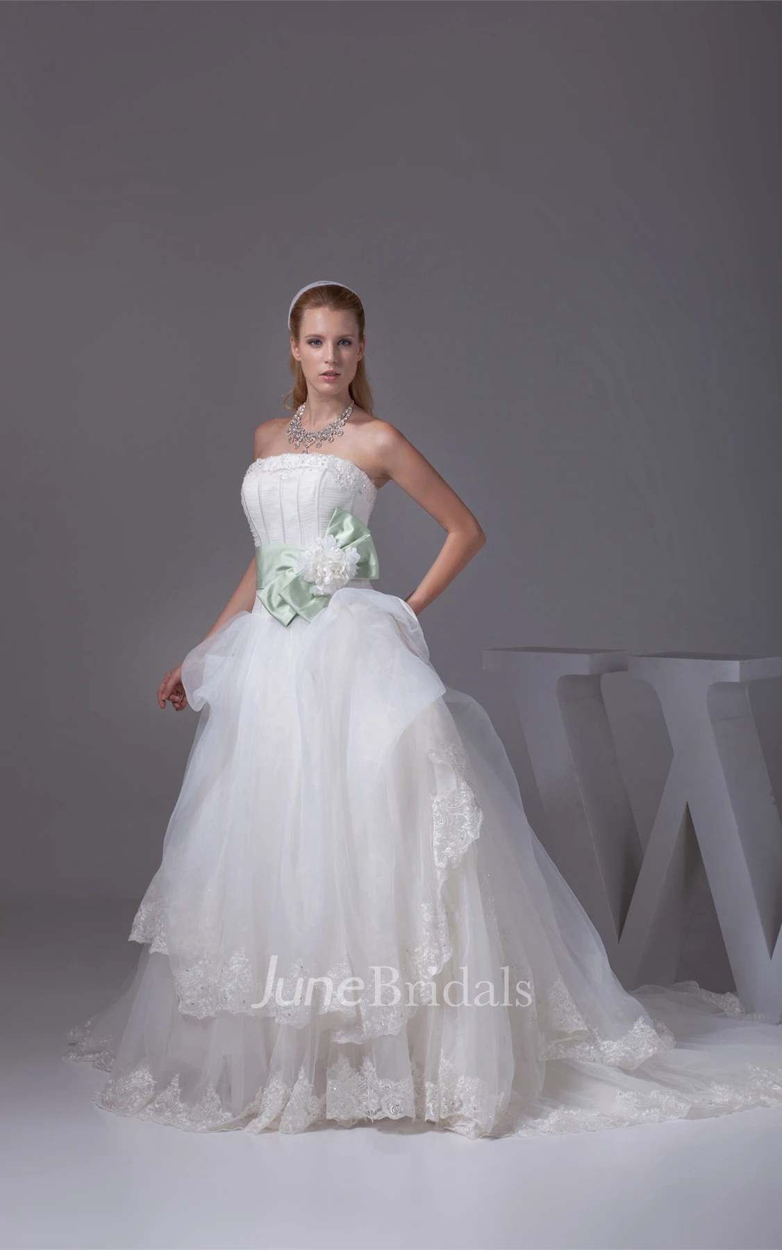 Strapless Tulle Ball Gown with Bowknot and Appliques