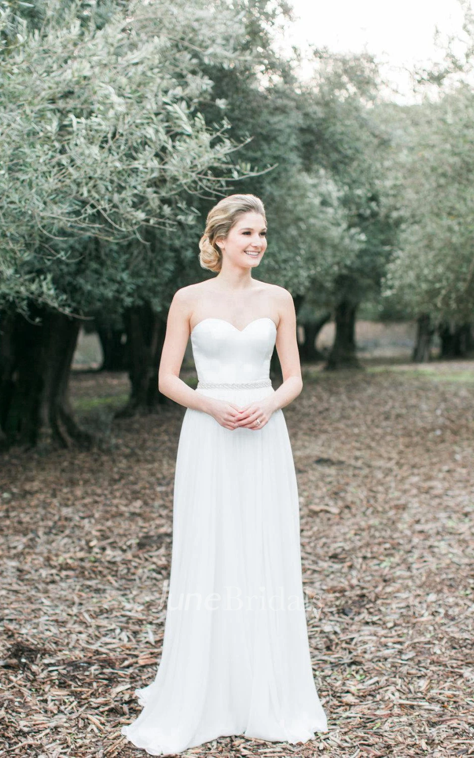 Elegant Long A-Line Chiffon Dress With Corset Top and Beading