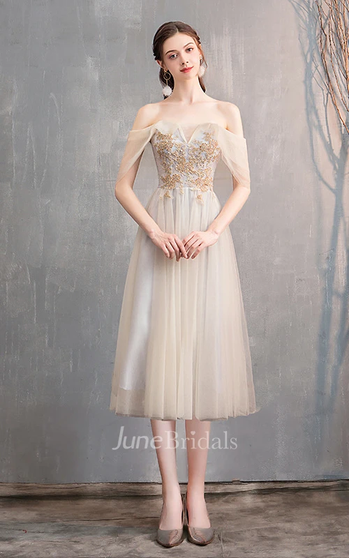 Elegant Tulle Off-the-shoulder V-neck A Line Formal Dress With Appliques
