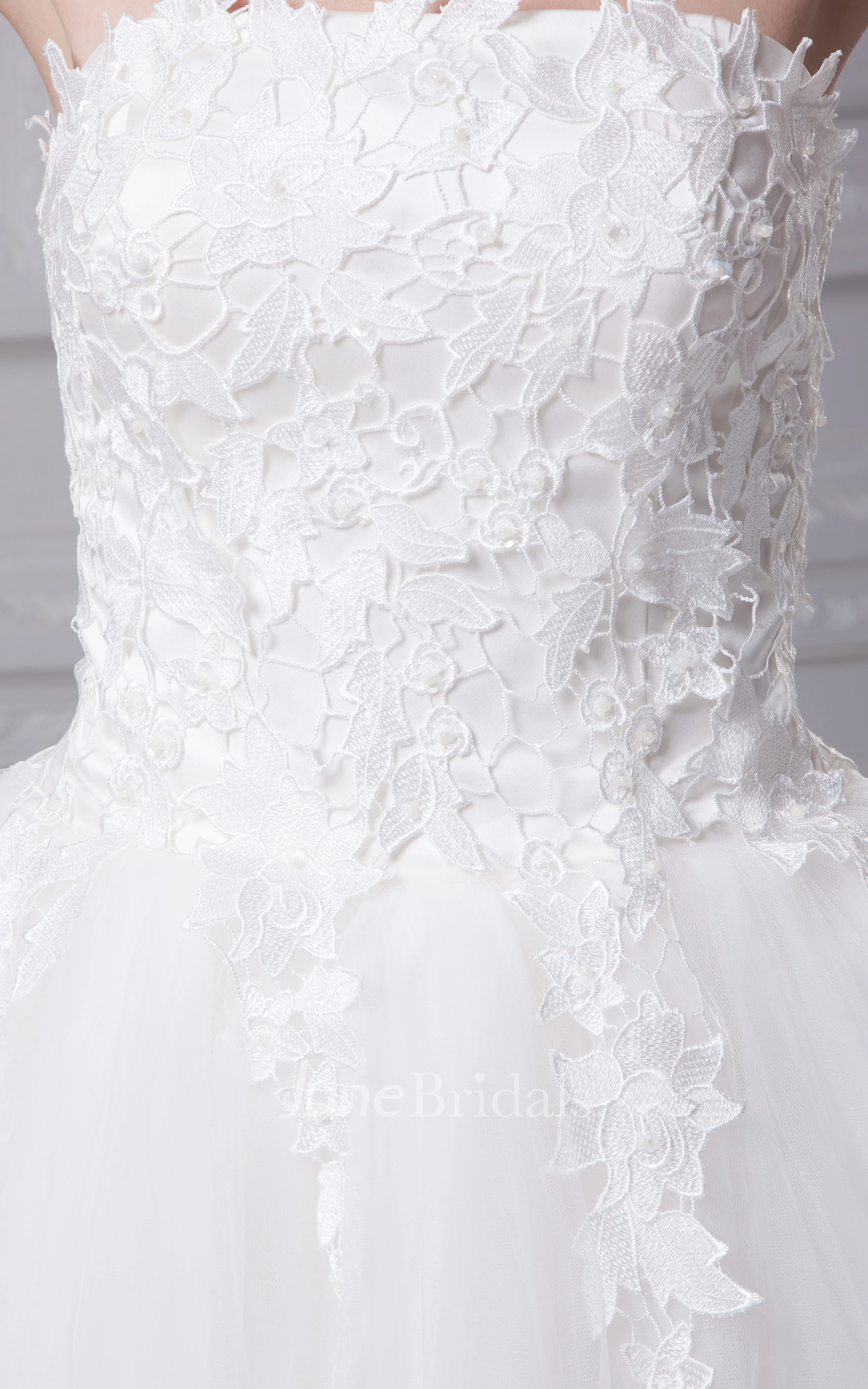 Strapless Short A-Line Dress With Appliques Dress Tulle Overlay