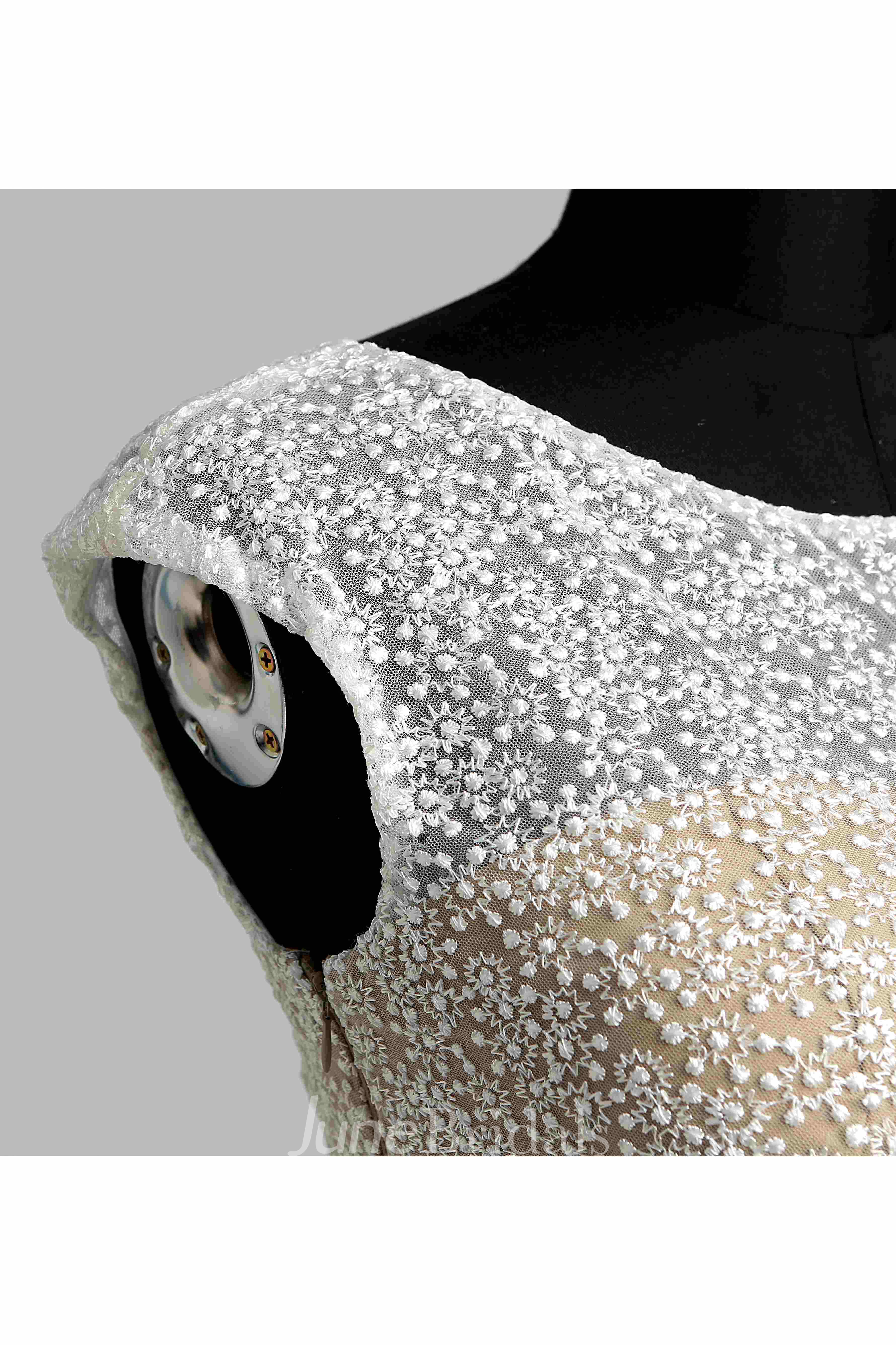 Floor-length A-line Bateau Cap Short Sleeve Illusion Jersey Lace Dress