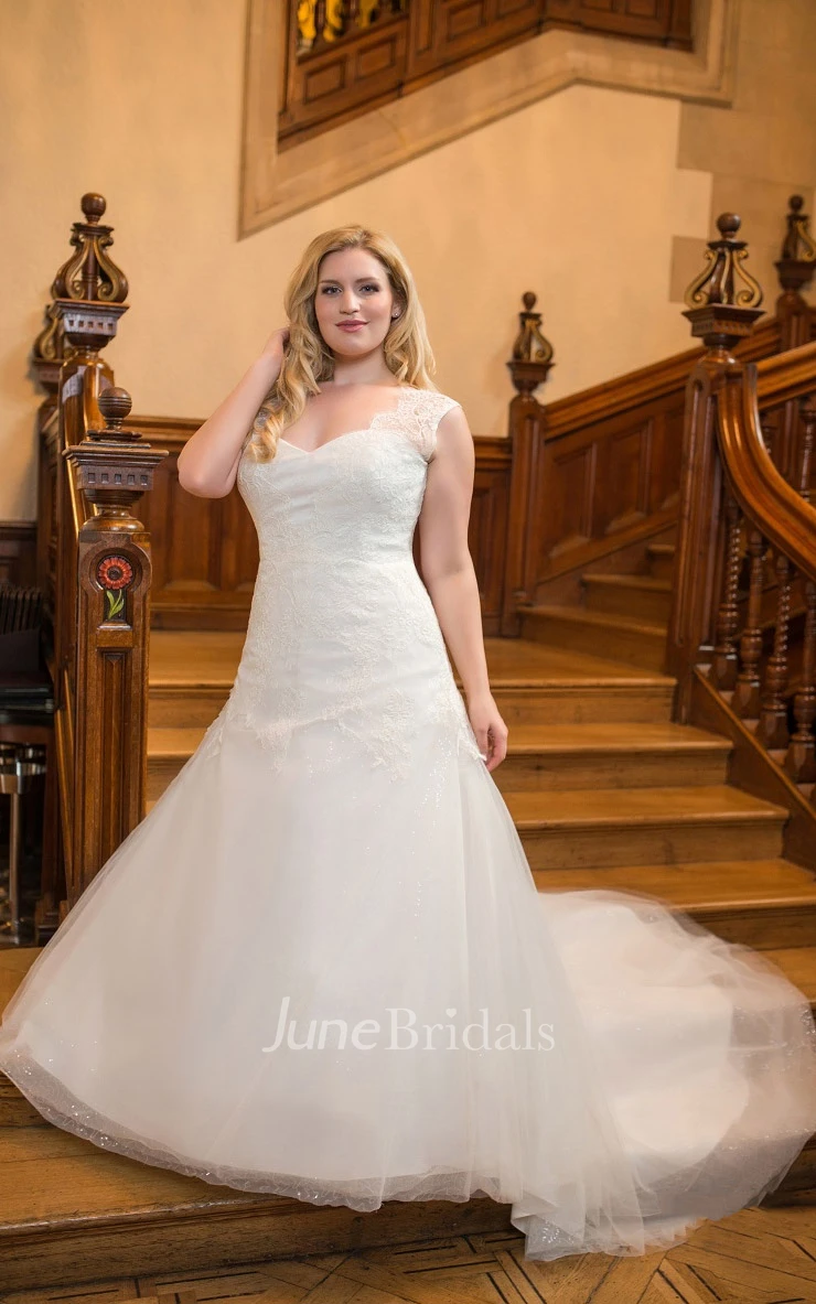 Trumpet Long V-Neck Cap Tulle Court Train Side Draping Dress