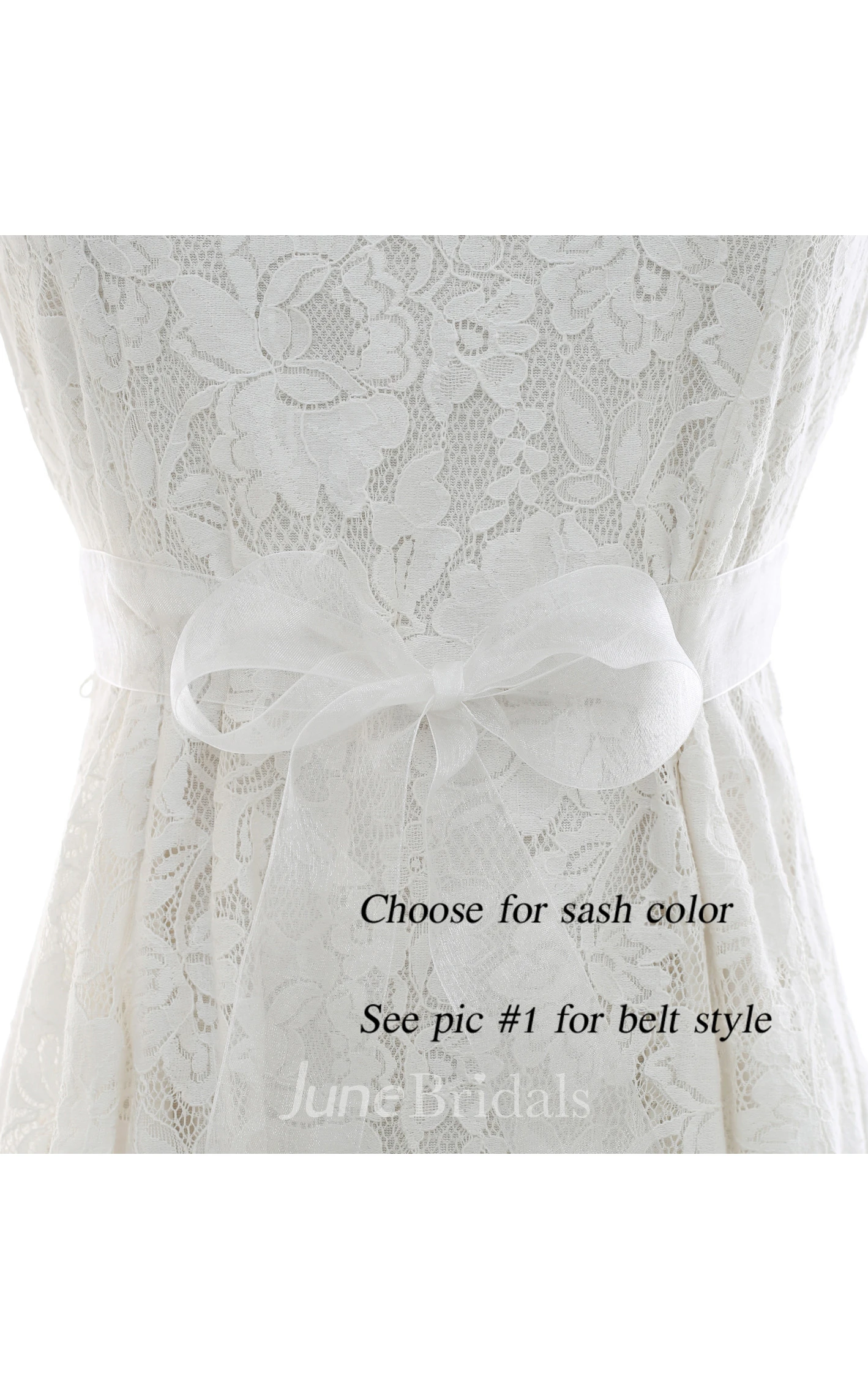 Bridal Crystal Appliqued Belt