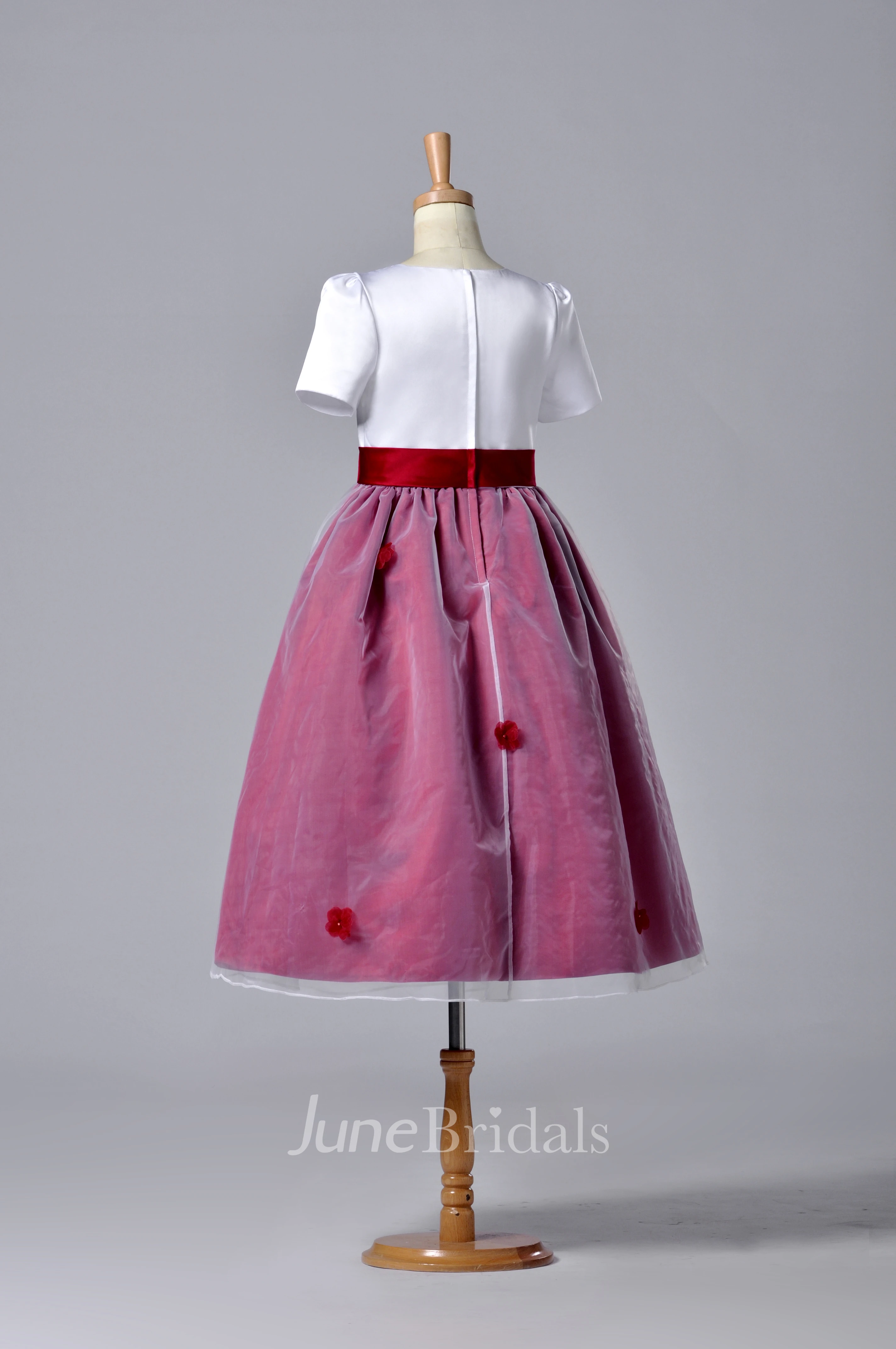 Short Sleeve High Neck Pleated Organza Dress With Bowknot