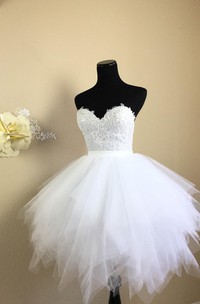 Short Lace Bodice Dress With Tulle Skirt