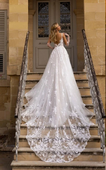Elegant Vintage V-Neck Lace Tulle Embroidered Long Dragtail Bridal Dress