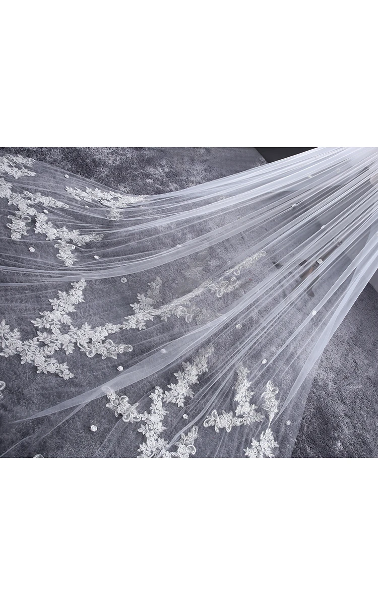Ethereal Long Tulle Wedding Veil with Lace and Flower Appliques