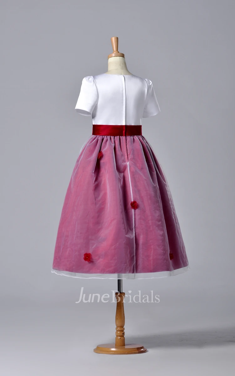 Short Sleeve High Neck Pleated Organza Dress With Bowknot