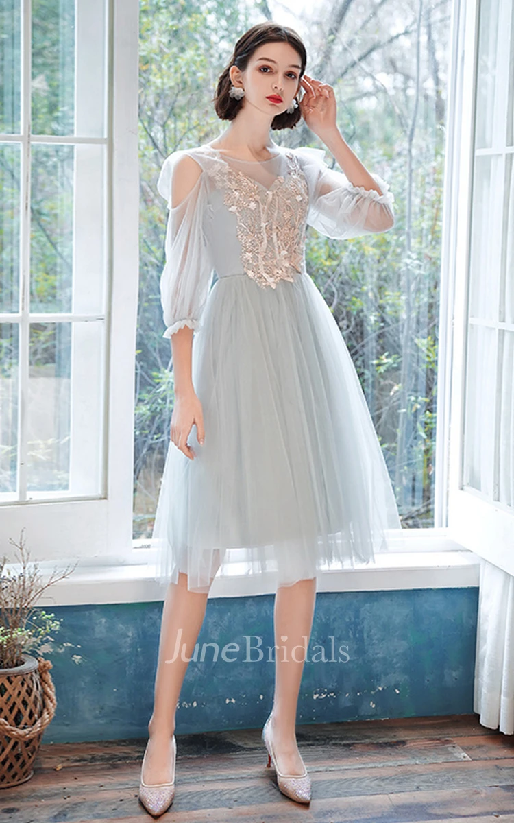 Casual Tulle Bateau Halter Off-the-shoulder A Line Cocktail Homecoming Dress With Appliques