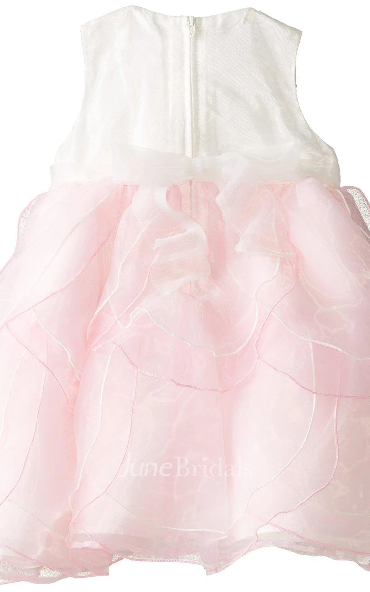 Sleeveless A-line Organza Dress With Flowers