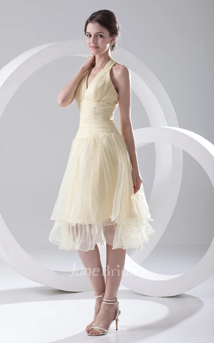 Captivating Organza Dress With Zipper Back And Draping