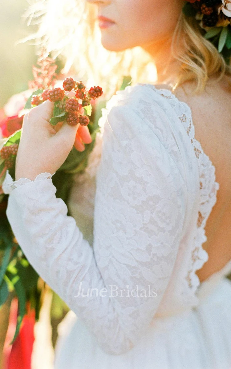 Chiffon A-line Lace Bodice Wedding Dress and Original Two Style Pink Rosebuds Floder