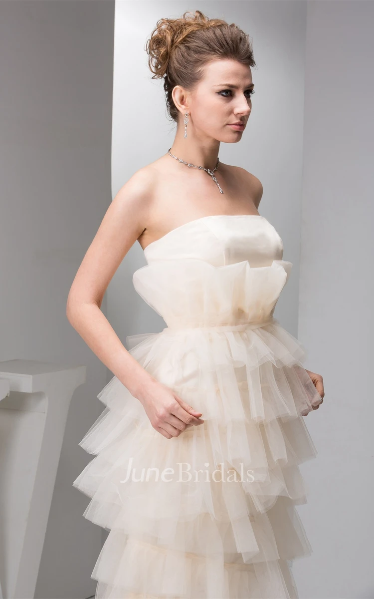 Strapless Tulle Maxi Dress with Tiers and Pleats