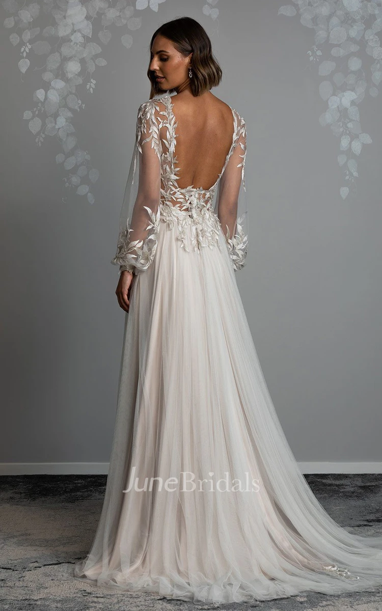 A-Line V-neck Tulle Beach Simple Wedding Dress With Open Back And Appliques