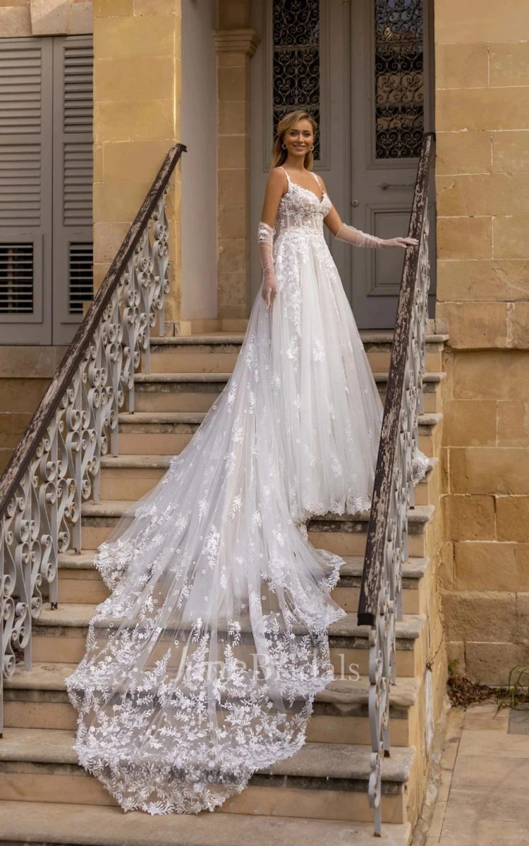 Elegant Vintage V-Neck Lace Tulle Embroidered Long Dragtail Bridal Dress