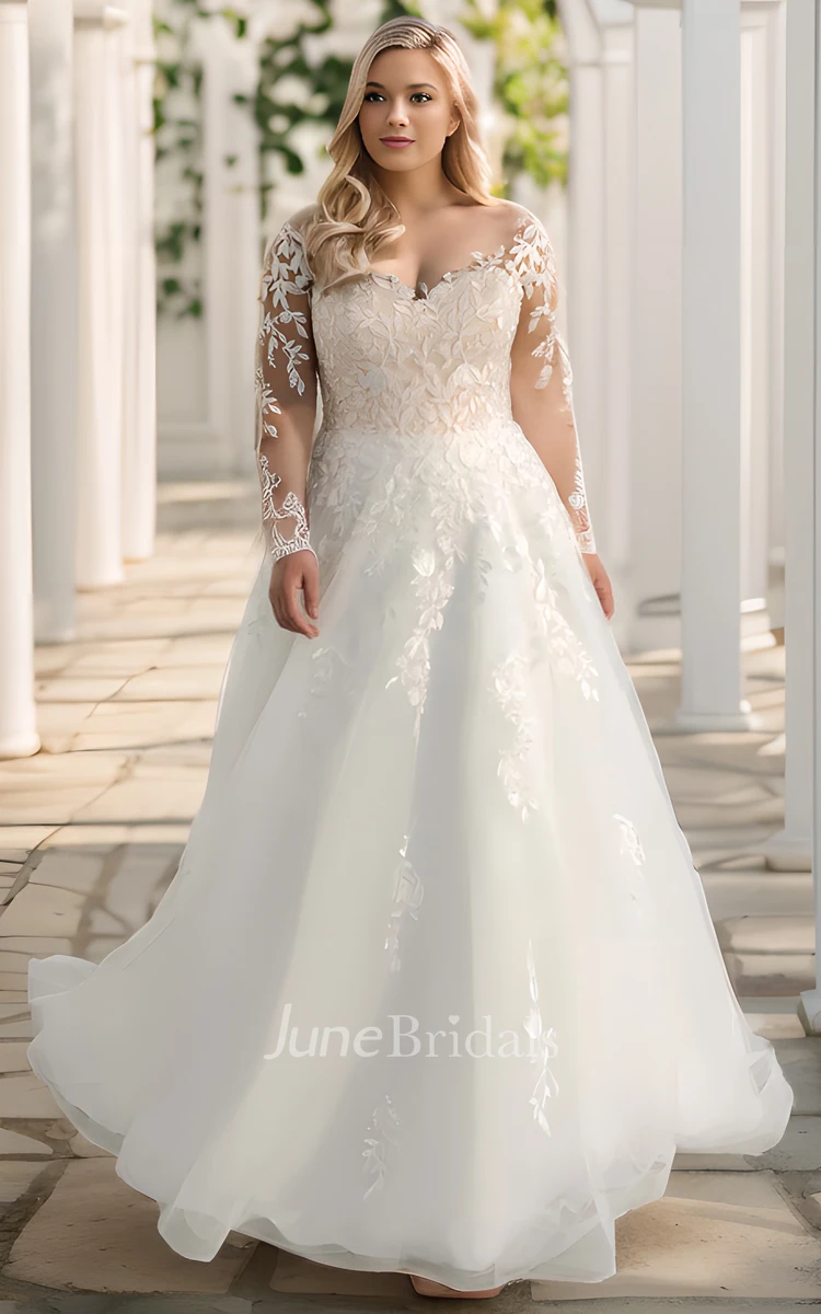 Plus size lace outlet bridal gowns