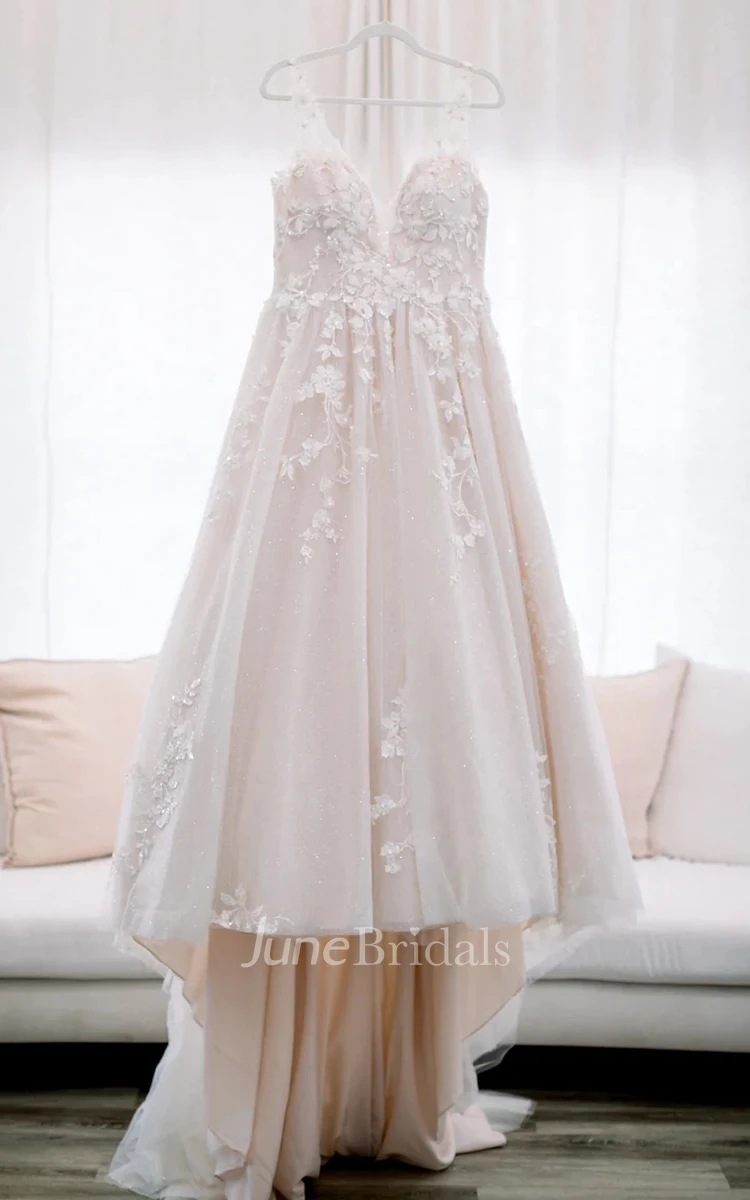 Plus Size Chiffon Bohemian V-neck Bridal Gown Court Train with Beading Sequins